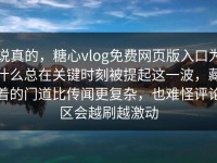 说真的，糖心vlog免费网页版入口为什么总在关键时刻被提起这一波，藏着的门道比传闻更复杂，也难怪评论区会越刷越激动