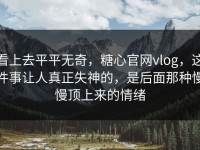 看上去平平无奇，糖心官网vlog，这件事让人真正失神的，是后面那种慢慢顶上来的情绪