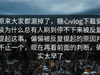 原来大家都漏掉了，糖心vlog下载安装为什么总有人刷到停不下来被反复提起这事，偏偏被反复提起的原因并不止一个，现在再看前面的判断，确实太早了