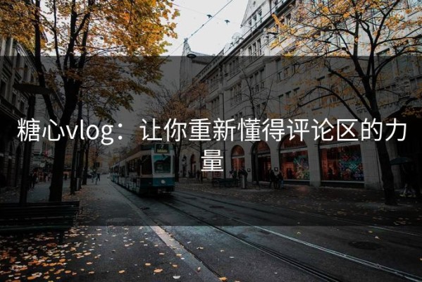 糖心vlog：让你重新懂得评论区的力量