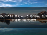 糖心vlog新官方入口引爆网络，低调中隐藏的巨大潜力