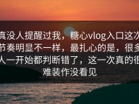 真没人提醒过我，糖心vlog入口这次节奏明显不一样，最扎心的是，很多人一开始都判断错了，这一次真的很难装作没看见