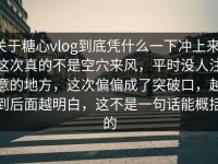 关于糖心vlog到底凭什么一下冲上来，这次真的不是空穴来风，平时没人注意的地方，这次偏偏成了突破口，越到后面越明白，这不是一句话能概括的
