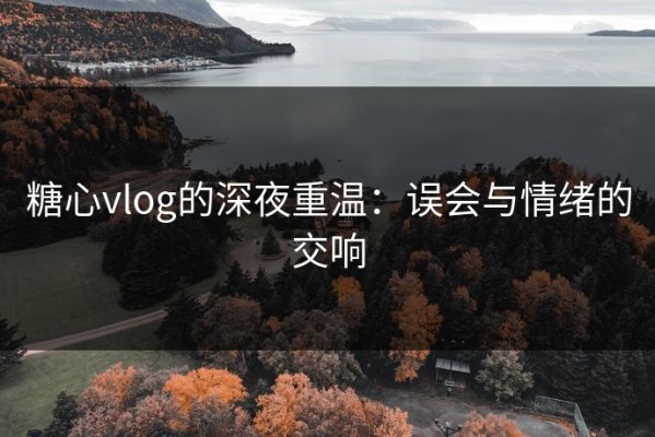 糖心vlog的深夜重温：误会与情绪的交响