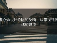 糖心vlog评论区的反响：从忽视到情绪的洪流
