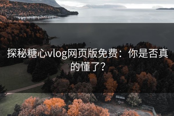 探秘糖心vlog网页版免费：你是否真的懂了？