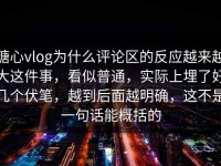 糖心vlog为什么评论区的反应越来越大这件事，看似普通，实际上埋了好几个伏笔，越到后面越明确，这不是一句话能概括的