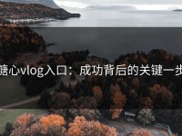 糖心vlog入口：成功背后的关键一步