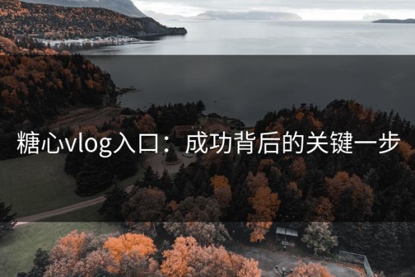 糖心vlog入口：成功背后的关键一步