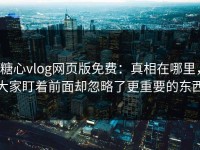 糖心vlog网页版免费：真相在哪里，大家盯着前面却忽略了更重要的东西