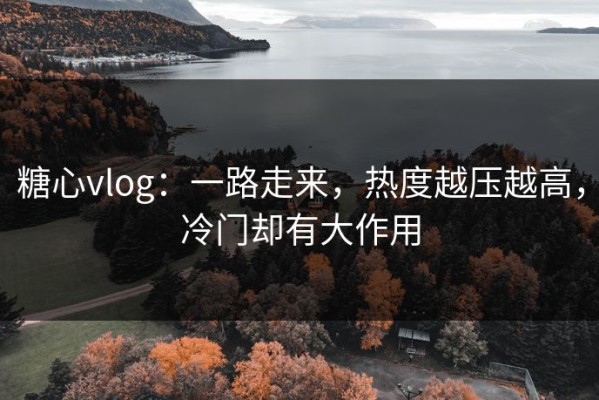 糖心vlog：一路走来，热度越压越高，冷门却有大作用