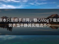 原本只是顺手点开，糖心Vlog下载安装表面平静其实暗流不少