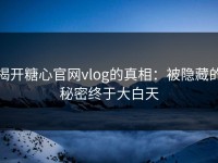 揭开糖心官网vlog的真相：被隐藏的秘密终于大白天