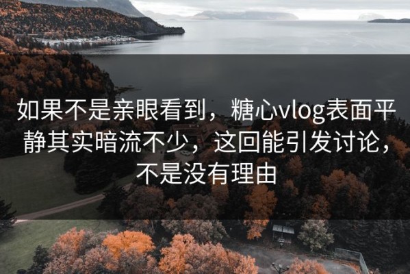 如果不是亲眼看到，糖心vlog表面平静其实暗流不少，这回能引发讨论，不是没有理由