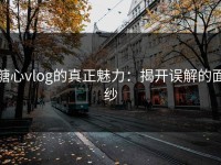糖心vlog的真正魅力：揭开误解的面纱