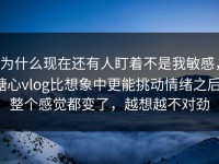 为什么现在还有人盯着不是我敏感，糖心vlog比想象中更能挑动情绪之后，整个感觉都变了，越想越不对劲