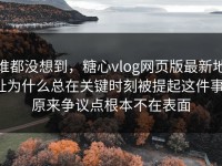 谁都没想到，糖心vlog网页版最新地址为什么总在关键时刻被提起这件事，原来争议点根本不在表面