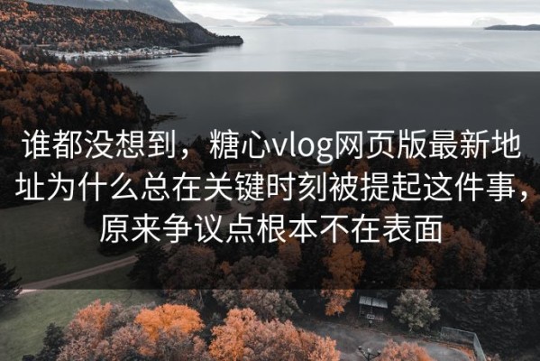 谁都没想到，糖心vlog网页版最新地址为什么总在关键时刻被提起这件事，原来争议点根本不在表面