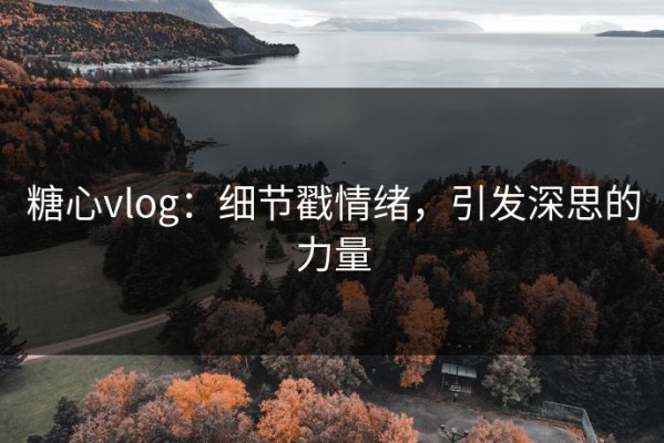 糖心vlog：细节戳情绪，引发深思的力量