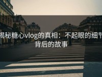 揭秘糖心vlog的真相：不起眼的细节背后的故事