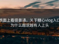 表面上看很普通，关于糖心vlog入口为什么越说越有人上头
