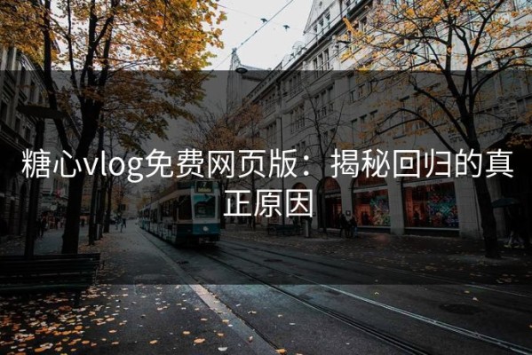 糖心vlog免费网页版：揭秘回归的真正原因