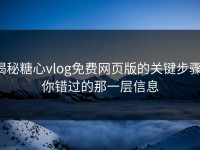 揭秘糖心vlog免费网页版的关键步骤，你错过的那一层信息