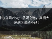 糖心官网Vlog：悬疑之谜，真相大白，评论区激动不已！