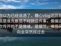 你以为已经说透了，糖心vlog这回到底是谁先察觉不对劲这件事，偏偏这次传开的不是情绪，是细节，难怪风向会突然拐过去