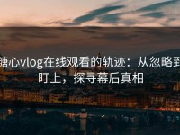 糖心vlog在线观看的轨迹：从忽略到盯上，探寻幕后真相