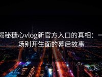 揭秘糖心vlog新官方入口的真相：一场别开生面的幕后故事