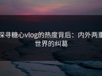 探寻糖心vlog的热度背后：内外两重世界的纠葛