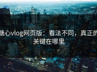 糖心vlog网页版：看法不同，真正的关键在哪里