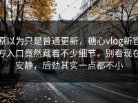 原以为只是普通更新，糖心vlog新官方入口竟然藏着不少细节，别看现在安静，后劲其实一点都不小