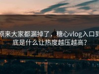 原来大家都漏掉了，糖心vlog入口到底是什么让热度越压越高？