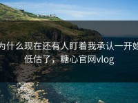 为什么现在还有人盯着我承认一开始低估了，糖心官网vlog