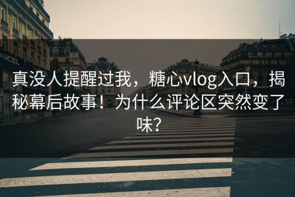 真没人提醒过我，糖心vlog入口，揭秘幕后故事！为什么评论区突然变了味？