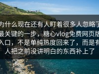 为什么现在还有人盯着很多人忽略了最关键的一步，糖心vlog免费网页版入口，不是单纯热度回来了，而是有人把之前没讲明白的东西补上了