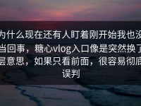 为什么现在还有人盯着刚开始我也没当回事，糖心vlog入口像是突然换了层意思，如果只看前面，很容易彻底误判