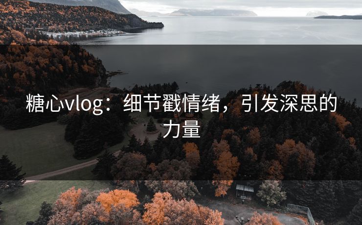 糖心vlog：细节戳情绪，引发深思的力量