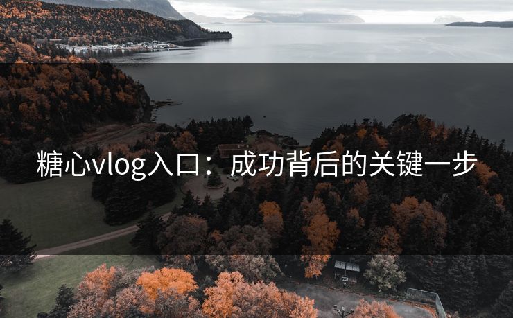 糖心vlog入口：成功背后的关键一步