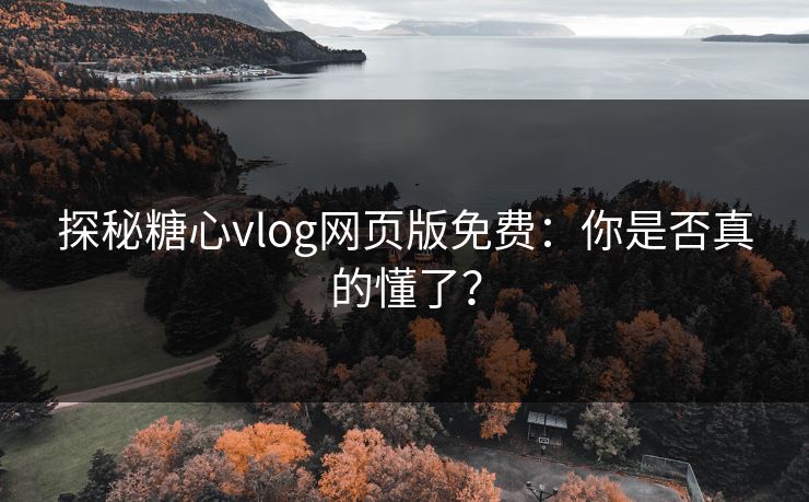 探秘糖心vlog网页版免费：你是否真的懂了？