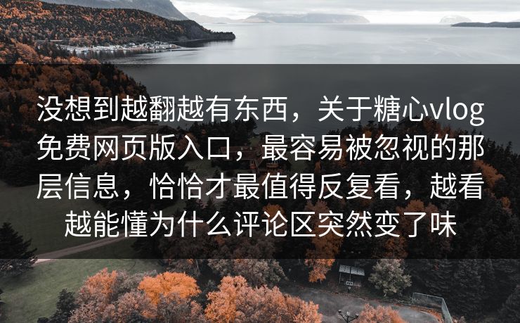 没想到越翻越有东西，关于糖心vlog免费网页版入口，最容易被忽视的那层信息，恰恰才最值得反复看，越看越能懂为什么评论区突然变了味