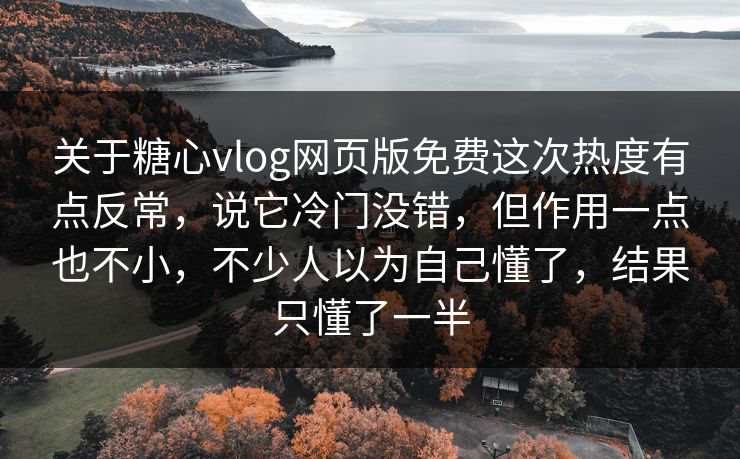 关于糖心vlog网页版免费这次热度有点反常，说它冷门没错，但作用一点也不小，不少人以为自己懂了，结果只懂了一半