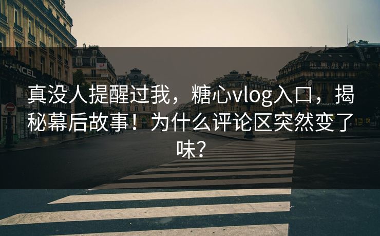 真没人提醒过我，糖心vlog入口，揭秘幕后故事！为什么评论区突然变了味？