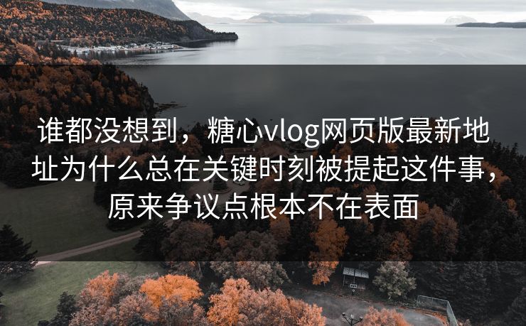 谁都没想到，糖心vlog网页版最新地址为什么总在关键时刻被提起这件事，原来争议点根本不在表面