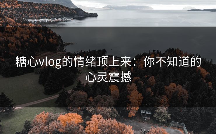 糖心vlog的情绪顶上来：你不知道的心灵震撼