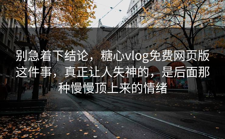 别急着下结论，糖心vlog免费网页版这件事，真正让人失神的，是后面那种慢慢顶上来的情绪
