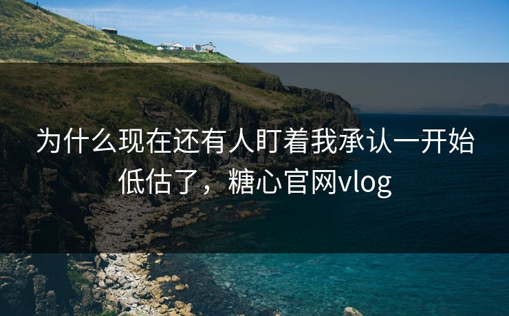 为什么现在还有人盯着我承认一开始低估了，糖心官网vlog