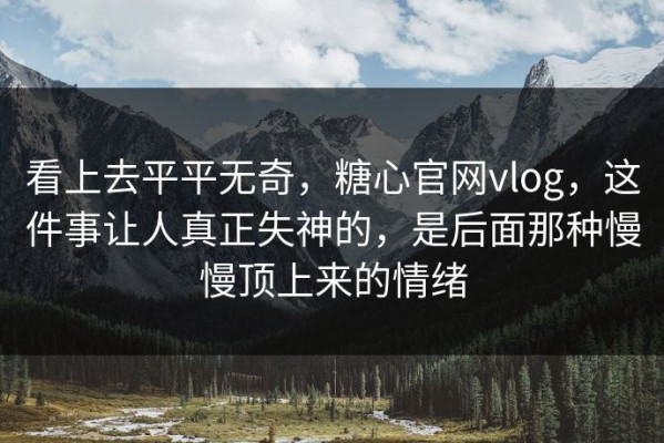 看上去平平无奇，糖心官网vlog，这件事让人真正失神的，是后面那种慢慢顶上来的情绪